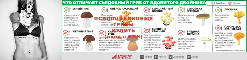 Галлюциногенные грибы прущие грибы Уссурийск